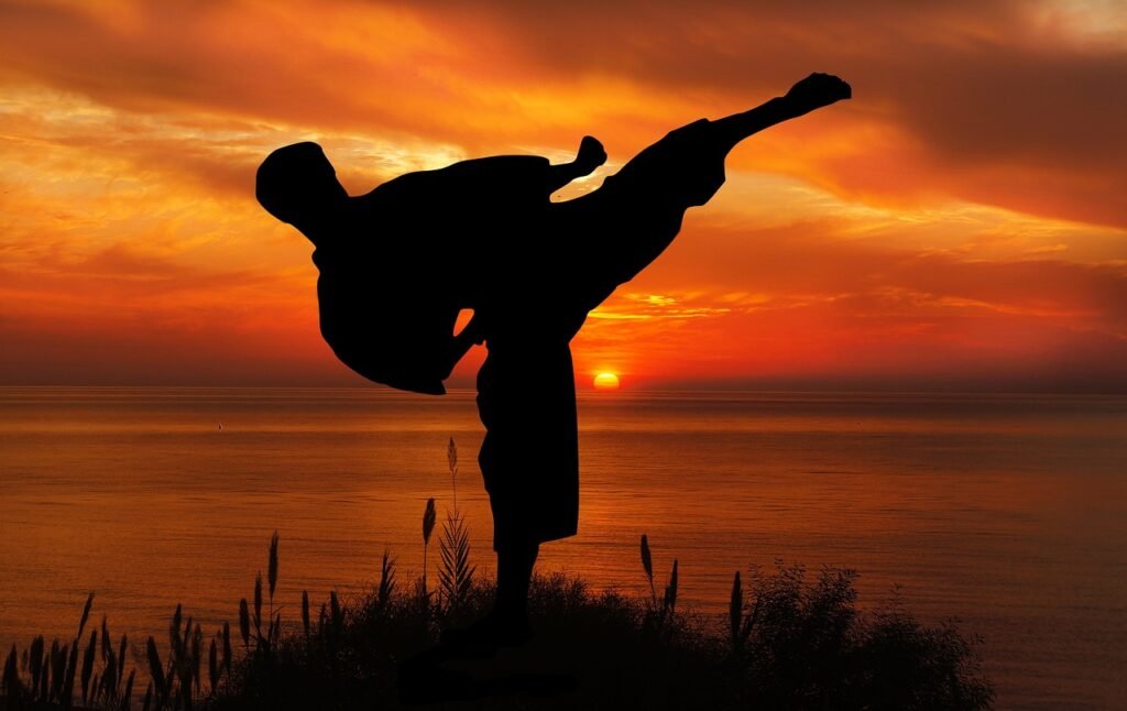 Services sunset, sport, karate, competition, coaching, silhouette, people, the activity, young, nature, ocean, karate, karate, karate, karate, karate